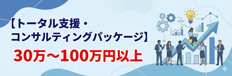 トータル支援・コンサルティングパッケージ:30万~100万円以上